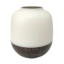 WIFI Oil Diffuser Security Camera