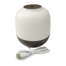 WIFI Oil Diffuser Security Camera